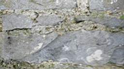 acastle 105595.jpg
